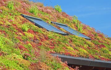 Quixhill living roof systems