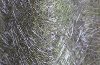 Quixhill fibreglass roof work